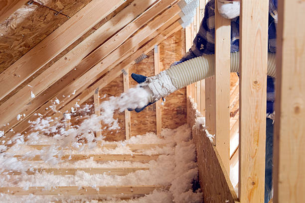 Best Commercial Insulation Services  in Lincoln, AR